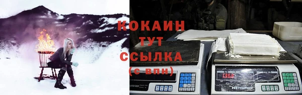 СК Магас