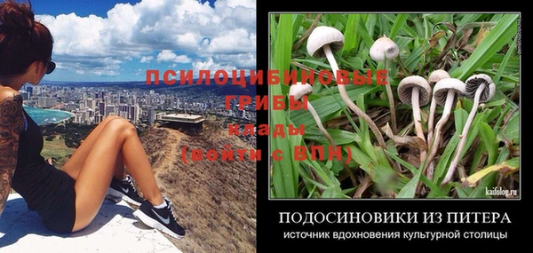 спайс Магадан