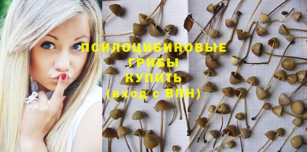 спайс Магадан