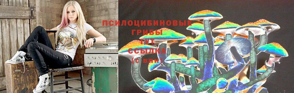 СК Магас