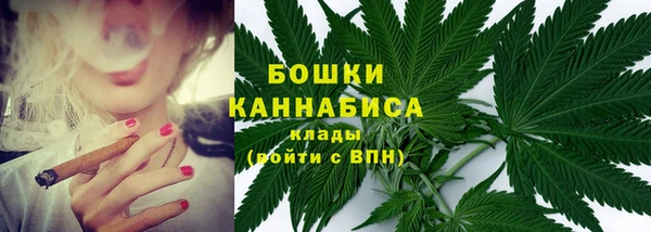 гидра Майский