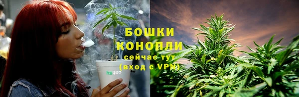 гидра Майский