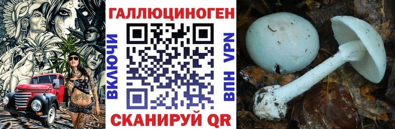 Псилоцибиновые грибы мухоморы  блэк спрут зеркало  Сегежа 