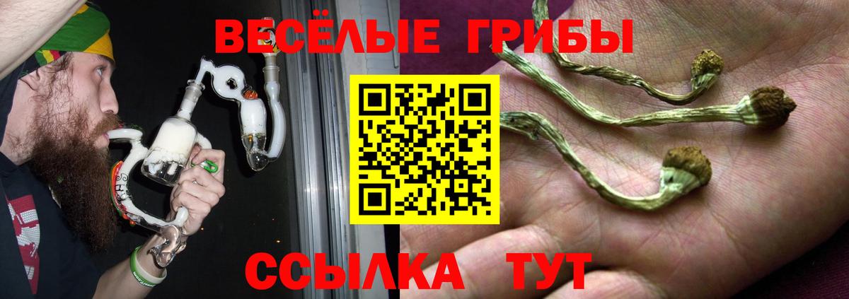 Сегежа  Псилоцибиновые грибы ЛСД  Вход с VPN  Псилоцибиновые грибы ЛСД 